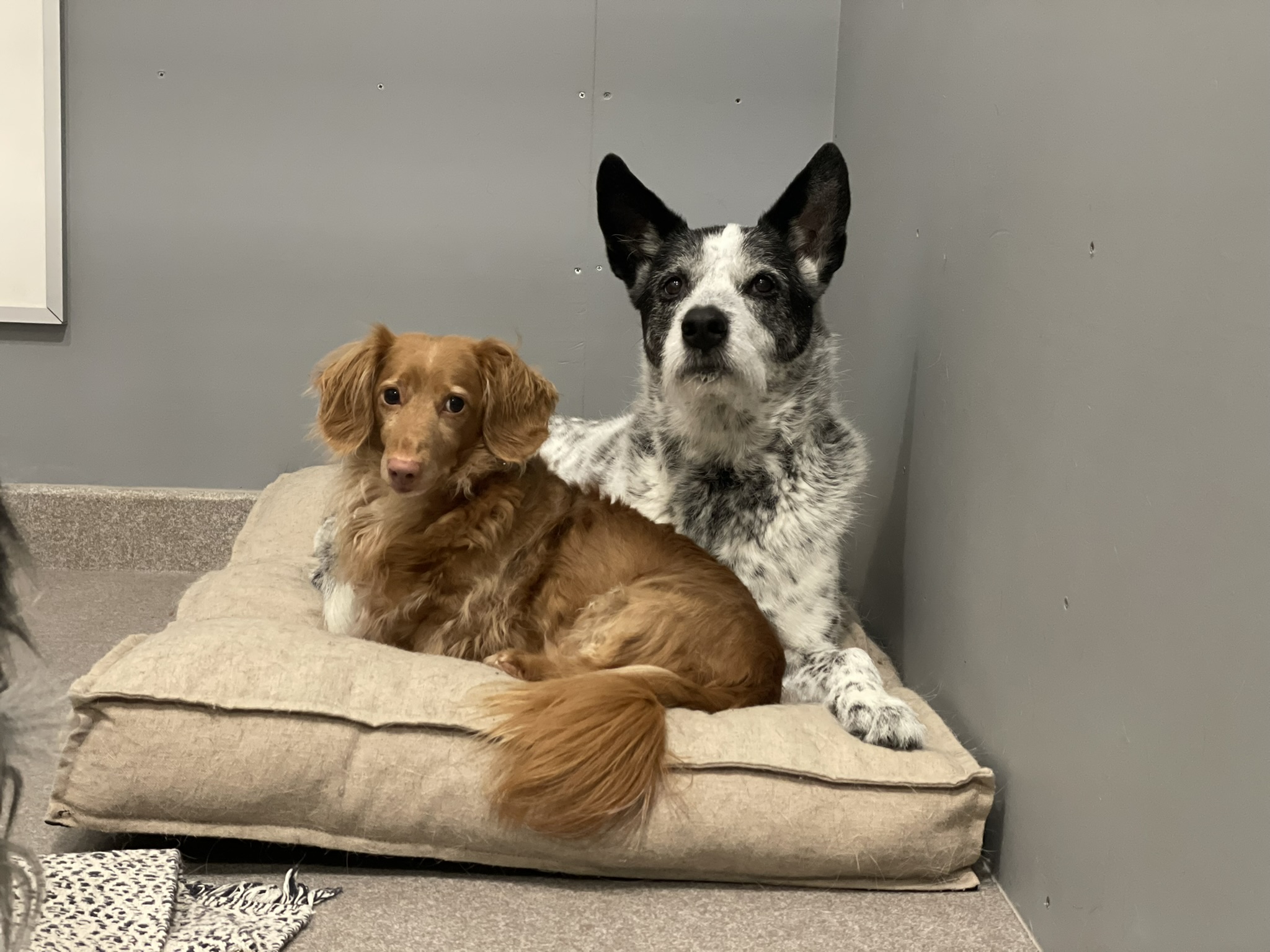 Tilat